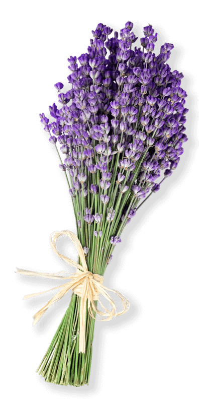 lavender bouquet